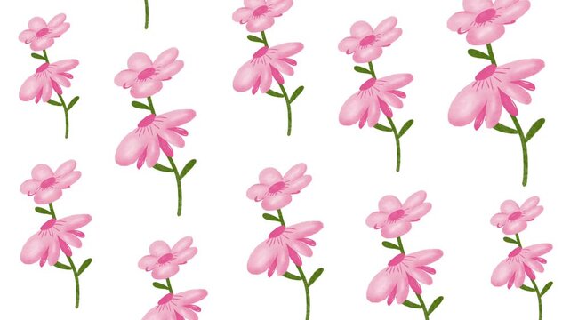 Blooming flower pattern animation, pink floral background, beautiful and environmentally friendly botanical design, suitable for wedding invitations.