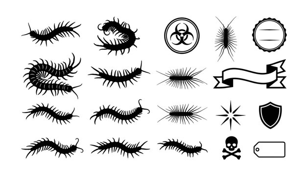 Minimalist centipede silhouette vector icon set featuring black solid multi-legged creepy bugs biohazard sign and blank ribbon labels