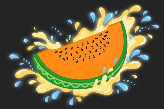 vector illustration splashes of melon juice