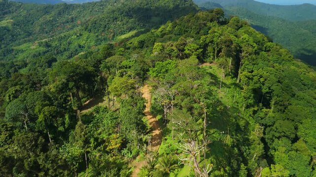 Aerial flyover reveals dense rainforest and hiking trail along mountain ridge at Las Lapas Lookout in Trinidad Northern Range