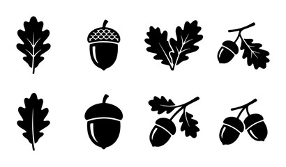 Oak leaf and acorn icons set, black silhouette forest elements vector, autumn nature symbols for seasonal branding and logos © Md