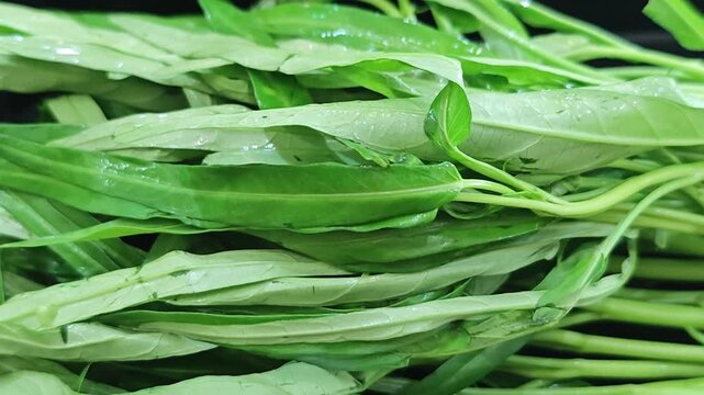 Fresh water spinach