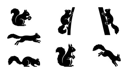 Fototapeta premium Black squirrel silhouette set, 6 animal vector icons, minimalist wildlife graphics for nature branding and outdoor logos