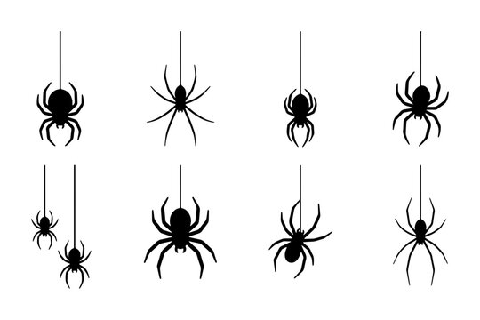 Black spider silhouettes hanging on webs, creepy arachnid vector set, Halloween decorative spider icons for spooky designs
