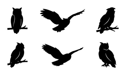 Obraz premium Owl silhouette collection, 6 black bird icons in flight and perched, nocturnal raptor vector set for nature logos and wildlife design