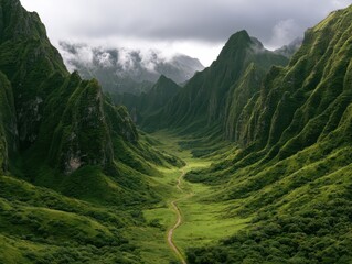 Fototapeta premium Dramatic lush green mountain valley with narrow path winding between sharp peaks under cloudy sky breathtaking landscape of tropical mountain range and wilderness