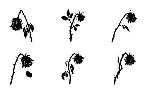 Wilted rose silhouette collection, 6 dead flower vector icons, black floral mourning symbols, sad drooping botanical elements