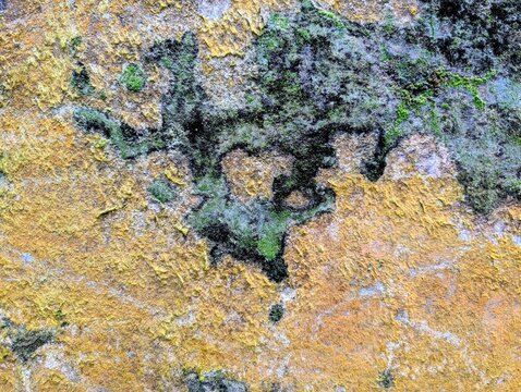 Abstract macro texture of a weathered stone surface covered in bright yellow lichen and a distinct dark green moss pattern.