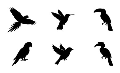 Fototapeta premium 80 Six Silhouette Bird Vector Icons: Parrot, Toucan, Hummingbird, Hornbill, and Passerine Collection for Nature and Wildlife Designs 100