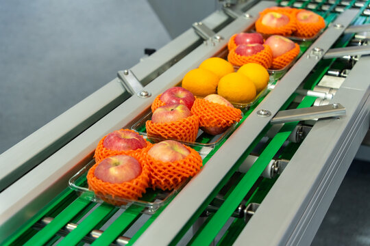 Automatic food flow wrapping machine in production line of fruits manufacturing. agricultural industry and innovation technology concept.