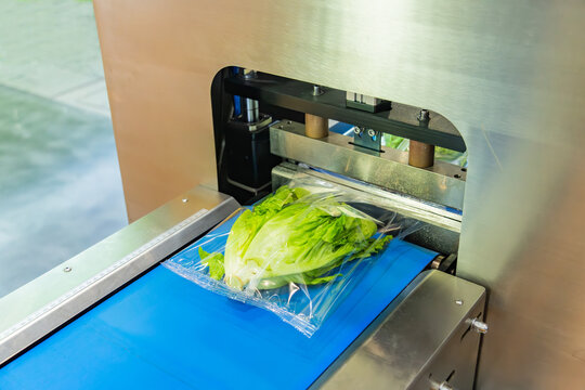 Food package wrapping machinery. Vegetable and fruit on flow packing machine. Food industry