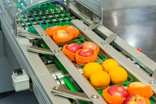 Automatic food flow wrapping machine in production line of fruits manufacturing. agricultural industry and innovation technology concept.