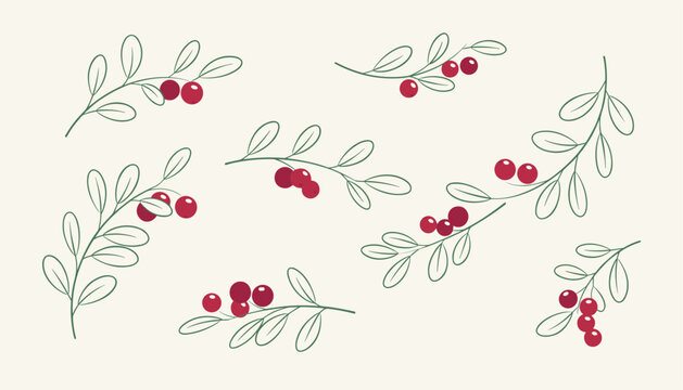 Scattered delicate green sprigs with ripe red cowberries or cranberries on a warm off-white background.
