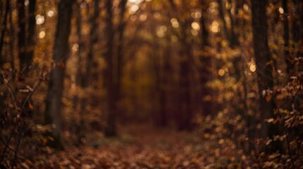 Obraz premium Dark Blurred Autumn Forest with Deep Orange and Amber Foliage, Soft Bokeh and Moody Copy Space for Luxury Seasonal Fall Advertising