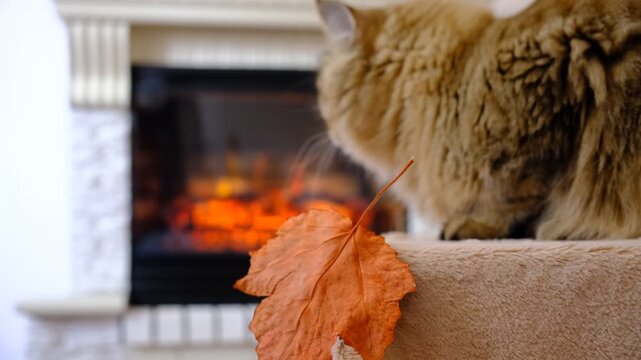 In a cozy room, a cat is lounging by the fireplace. The warm, dancing flames cast a gentle glow on the walls and highlight the cat&rsquo;s fur. The cat looks utterly relaxed, Autumn atmospheric mood