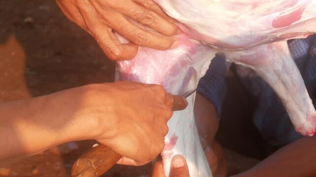 The process of slaughtering and skinning sacrificial goats during the Eid al Adha celebration in Indonesia