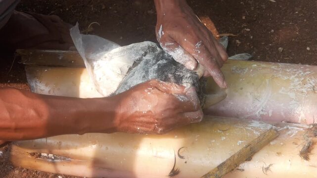 The traditional method of cleaning or scraping hair from a goat's head using lime.