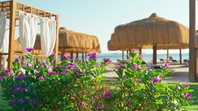 A deserted sandy beach with umbrellas and sun beds by the sea. Absence of people on vacation. The concept of tourism and travel.