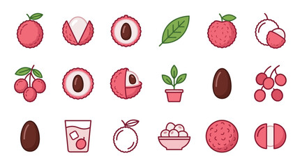 Lychee fruit vector icons and exotic berry graphics. © Sendal