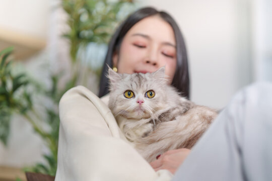 Young Asian woman holding cute cat at home for pet care and affection