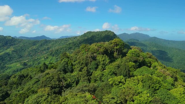 Aerial flyover above Las Lapas mountain ridge in Trinidad covered by dense rainforest canopy with layered peaks stretching toward horizon under blue sky