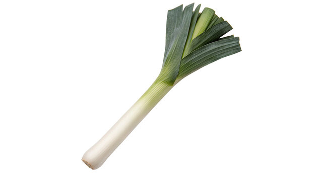 Single fresh raw green spring onion leek vegetable isolated on transparent background