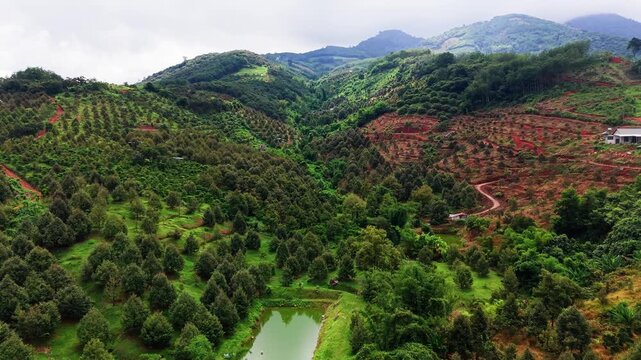 Aerial views showcase the landscape of Da Huoai 3 in Lam Dong, Vietnam. The video highlights farms, trees, and water bodies during daytime. View the rich greenery and valley formations.