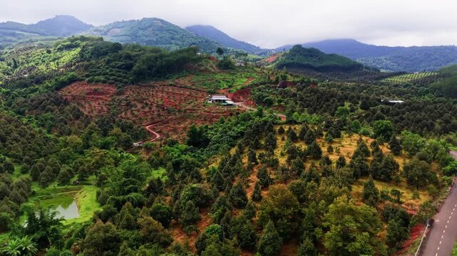 The beauty of Da Huoai 3 in Lam Dong, Vietnam. Green hills and open spaces appear in the distance. Roads lead through this landscape. It is daytime and clear skies are present.