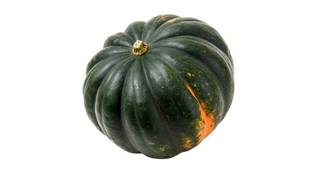 Whole fresh organic green pumpkin winter squash healthy raw vegetable ingredient isolated on transparent background