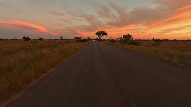 Following light traffic in Kruger National Park with golden sunset sky