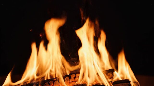 Flames dancing in darkness with embers glowing warmly a concept of primal energy and warmth during a night scene