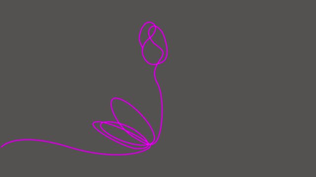 Continuous pink line art animation drawing of a lotus flower symbolizing purity and meditation.