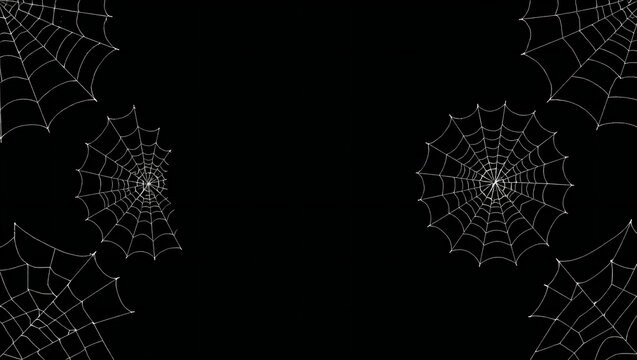 White spider webs arranged on a solid black background for halloween design