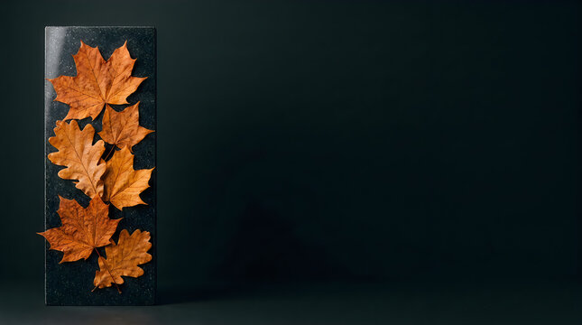 Autumn dry leaves on black marble block, minimalist fall background with copy space, elegant seasonal banner