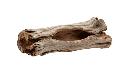 Obraz premium Driftwood log on white background, natural weathered wood piece for aquarium or home decor