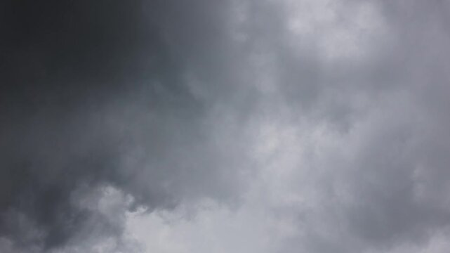 Brooding Sky: A dense canopy of dark, heavy storm clouds ominously fills the sky, hinting at impending rain or a dramatic atmospheric shift.