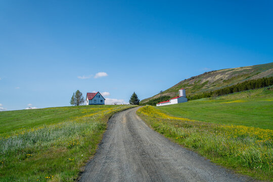 A gravel road leads up a green grassy hill towards a remote farmhouse and rural buildings under a clear blue sky in Iceland.