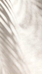 Fototapeta premium white background with shadow of leaves