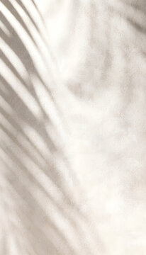 white background with shadow of leaves
