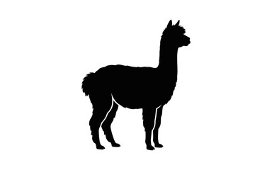 Fototapeta premium Llama silhouette against a white background a simple animal representation