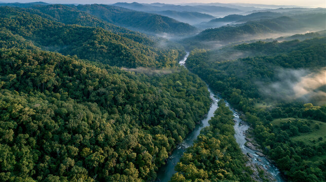 Aerial view of emerald forest over rolling hills, winding river and morning mist. Golden hour light, volumetric rays, open sky copy space for eco branding, tourism websites and environmental banners.