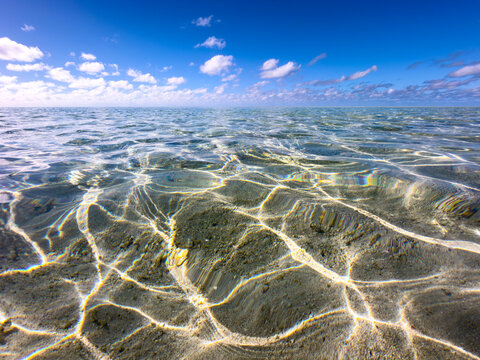 Crystal clear shallow lagoon water with sunlight patterns across the sandy seabed at Heron Island, Queensland, Australia.