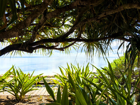 Tropical ocean and coastal boardwalk framed by vegetation at Heron Island on the Great Barrier Reef, Queensland, Australia.
