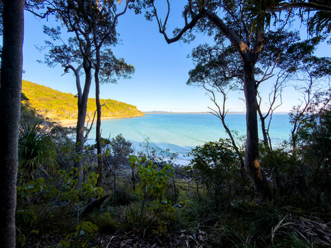 Coastal forest overlooking the ocean at Noosa Headland, Queensland, Australia, with native vegetation framing views of the coastline.
