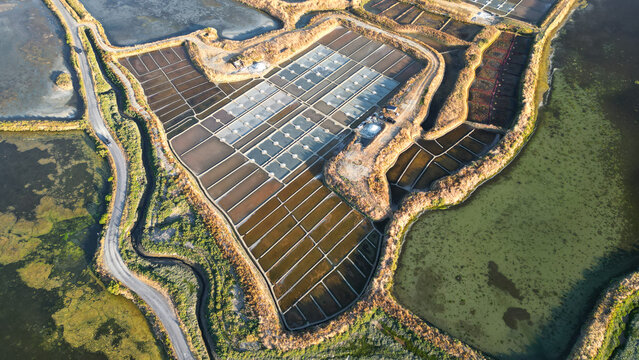 Aerial view of Marais salants de Guerande showing the intricate geometric patterns of the salt pans, earthen dikes, and surrounding marshland in Guerande, Pays de la Loire, France.