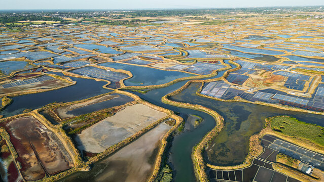 Aerial view of Marais salants de Guerande, featuring intricate salt pans with varying water levels and earthy tones, surrounded by lush vegetation in Guerande, Pays de la Loire, France.