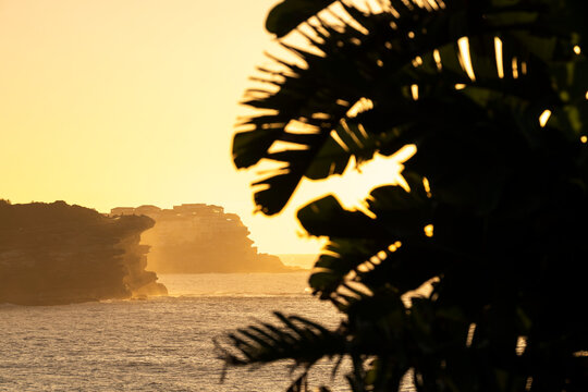 Golden sunrise light illuminates the cliffs and coastline around Bondi Beach in Sydney, Australia, framed by tropical foliage.