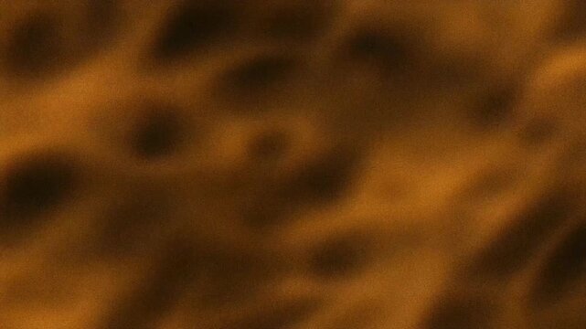 画面全体を覆う粒子の粗い砂嵐のノイズ