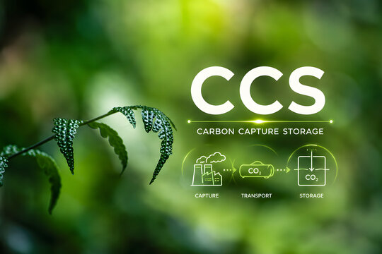 Carbon Capture and Storage CCS Technology for CO2 Reduction and a Sustainable Green Future