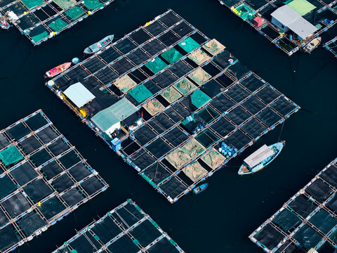 Close up of floating fish cages with small boats and netting Aerial view